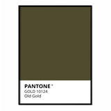 Oro Viejo - Póster 50x70 con Marco Negro