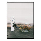 Caracol - Póster 50x70 con Marco Negro